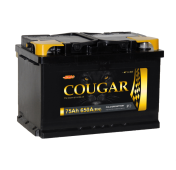 Cougar